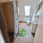 Rent 2 bedroom apartment of 42 m² in Bechyně