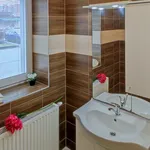 Rent 1 bedroom apartment in Nový Jičín