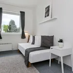 Rent 1 bedroom apartment of 10 m² in Trondheim