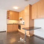 Rent 1 bedroom apartment in Deerlijk