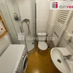 Rent 2 bedroom apartment of 48 m² in Prague