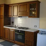 Rent 2 bedroom apartment of 40 m² in Torino