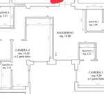 Rent 5 bedroom apartment of 160 m² in Roma