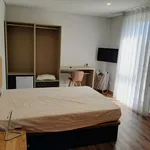 Rent 10 bedroom apartment in Porto