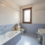 Rent a room of 150 m² in Legnaro