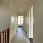 Rent 2 bedroom apartment of 100 m² in Axel