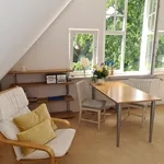 Rent 1 bedroom apartment of 45 m² in Berlin