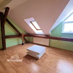 Rent 1 bedroom apartment of 48 m² in Plzeň