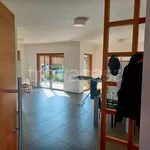 Rent 2 bedroom apartment of 59 m² in Bolzano