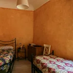 Rent 5 bedroom apartment of 120 m² in florence