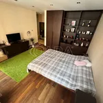 Rent 1 bedroom apartment of 32 m² in Capital City of Prague