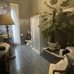 Rent 3 bedroom apartment of 85 m² in Torino