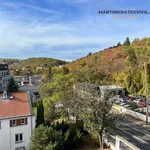 Rent 3 bedroom apartment of 64 m² in Prague