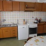 Rent 5 bedroom apartment of 100 m² in Livorno