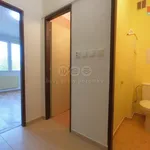 Rent 1 bedroom apartment of 20 m² in Jindřichův Hradec