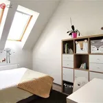 Rent 4 bedroom apartment of 73 m² in Nížkovice