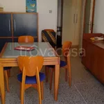 Rent 3 bedroom apartment of 80 m² in Bologna