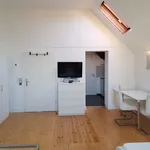 Rent 1 bedroom apartment of 40 m² in Wiesbaden