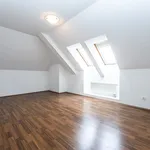 Pronajměte si 4 ložnic/e byt o rozloze 102 m² v Holubice