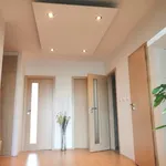 Rent 2 bedroom apartment of 77 m² in Prague