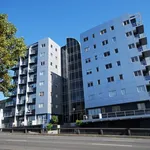 Rent 1 bedroom apartment in Auckland