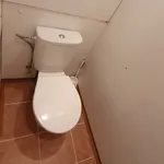 Rent 1 bedroom apartment in Sokolov