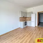 Rent 1 bedroom apartment in Znojmo