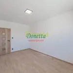 Rent 3 bedroom apartment of 67 m² in Hradec Králové