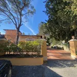 Rent 10 bedroom apartment of 450 m² in Sesto Fiorentino