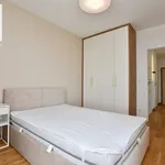 Rent 2 bedroom apartment of 46 m² in Rzeszów