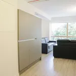 Rent 1 bedroom apartment in Dublin