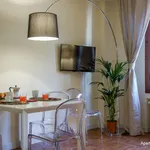 Rent 1 bedroom apartment of 48 m² in Florence