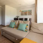 Rent 3 bedroom apartment of 100 m² in porto