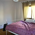 Rent 2 bedroom apartment of 55 m² in Roma