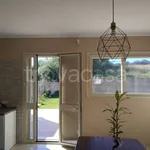 Rent 5 bedroom house of 150 m² in Augusta