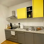 Rent 2 bedroom apartment of 115 m² in Ingolstadt