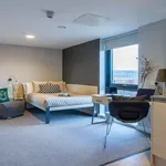 Rent 1 bedroom apartment in Sheffield