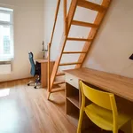 Rent 1 bedroom apartment in Brno