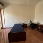 Rent 1 bedroom apartment of 15 m² in Cassino