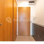 Rent 1 bedroom apartment of 23 m² in Frýdek-Místek