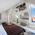 Rent 4 bedroom apartment of 100 m² in Prague