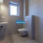 Rent 11 bedroom apartment in Olomouc