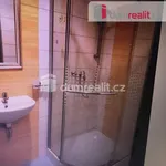 Pronajměte si 1 ložnic/e byt o rozloze 15 m² v Prague