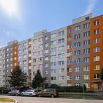 Pronajměte si 5 ložnic/e byt o rozloze 95 m² v Capital City of Prague