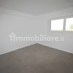 Rent 4 bedroom apartment of 150 m² in Trento