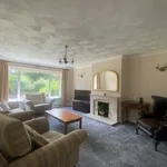 Rent 3 bedroom flat in Brighton