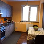 Rent 2 bedroom apartment of 55 m² in Genoa