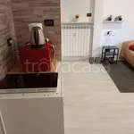 Rent 2 bedroom apartment of 35 m² in Torino