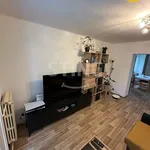 Rent 2 bedroom apartment of 60 m² in Ostrava