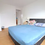 Rent 3 bedroom flat in North East England